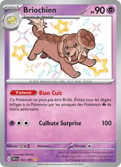 Briochien — Destinées de Paldea