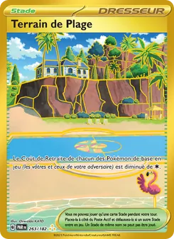 Terrain de Plage — Faille Paradoxe
