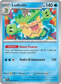 Ludicolo — Aventures Ensemble