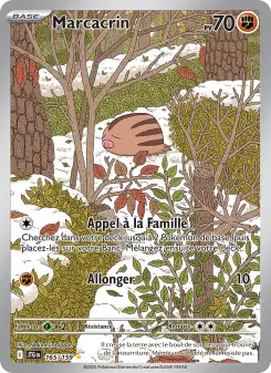 Marcacrin — Aventures Ensemble